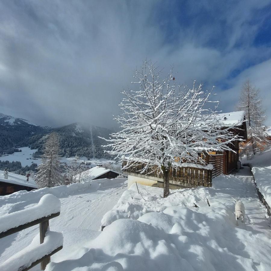 Chambre D'Hotes L'Ours Bleu Les Diablerets Εξωτερικό φωτογραφία