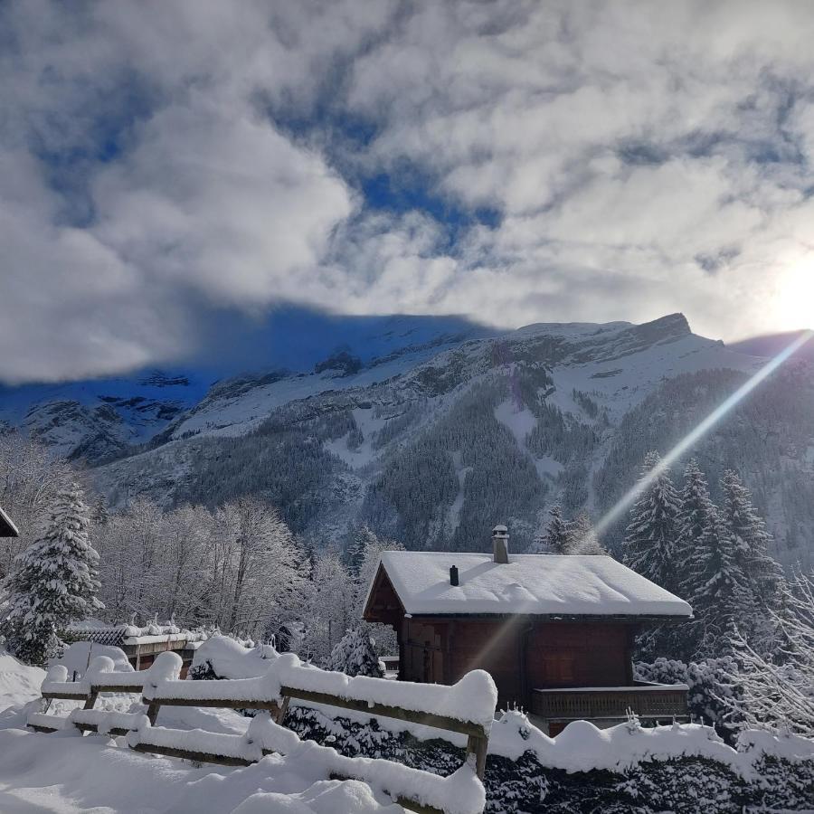 Chambre D'Hotes L'Ours Bleu Les Diablerets Εξωτερικό φωτογραφία